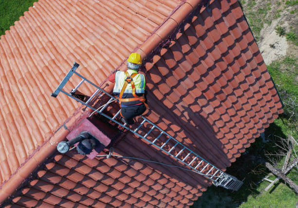 Best Solar Panel Roofing Installation  in Waverly, MI