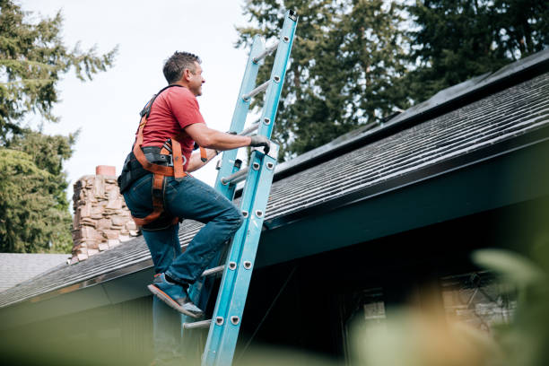 Best Chimney Flashing Repair  in Waverly, MI