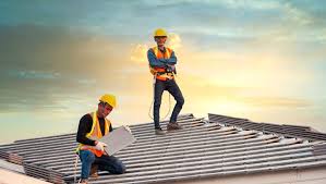 Best Roof Moss and Algae Removal  in Waverly, MI